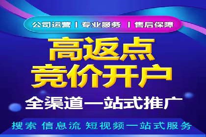 专业SEM服务托管方案案例分析